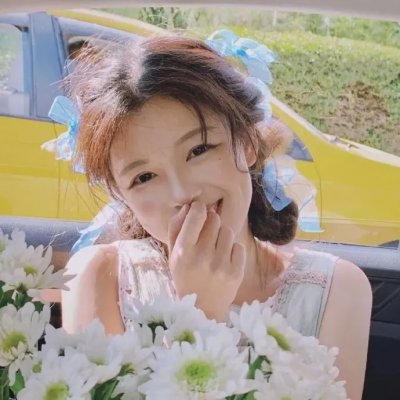 诚实国度的爱丽丝