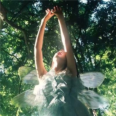 娱乐反斗星粤语